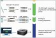 16S RNA PCR and gene sequencing